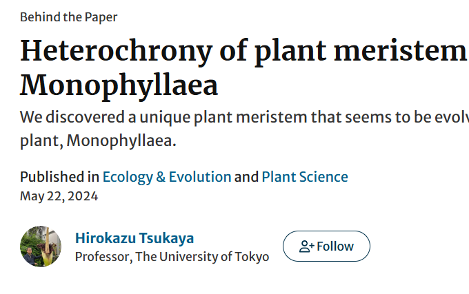 Research Communities にモノフィレア論文の紹介記事を出しました