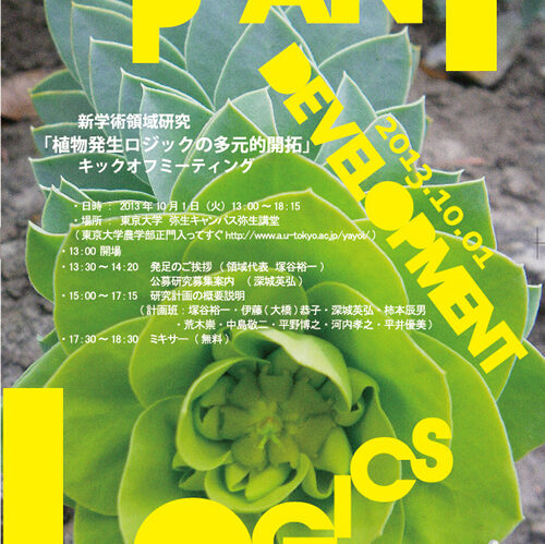 新学術領域「植物発生ロジックの多元的開拓（植物発生ロジック）」スタート！