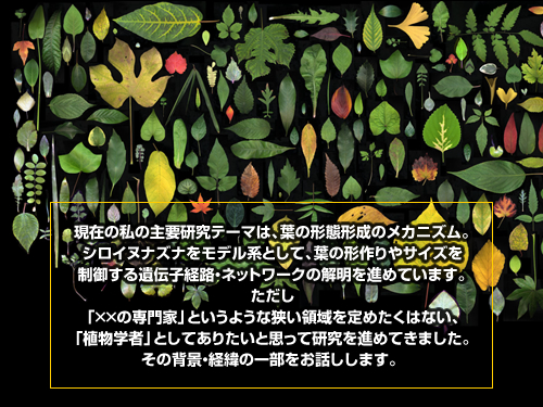 松下幸之助　花の万博記念奨励賞　受賞